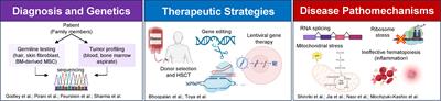 Editorial: Advances in predisposition to bone marrow failure and hematopoietic neoplasms